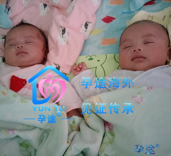 上海做供卵试管婴儿的医院哪家好？