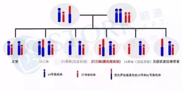普通婴儿比借卵生子代生试管更聪明吗？真正的答案是令人惊讶的