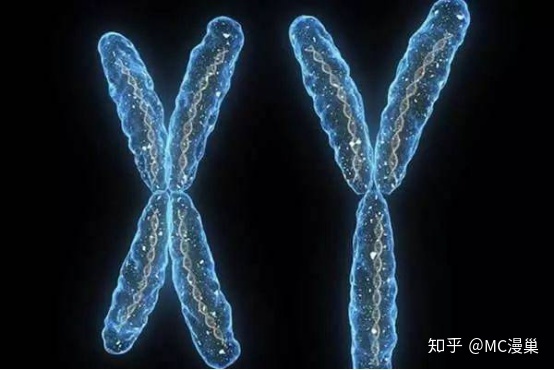 赠卵试管哪里代怀移植后HCG翻倍效果极差，应该继续保胎吗？