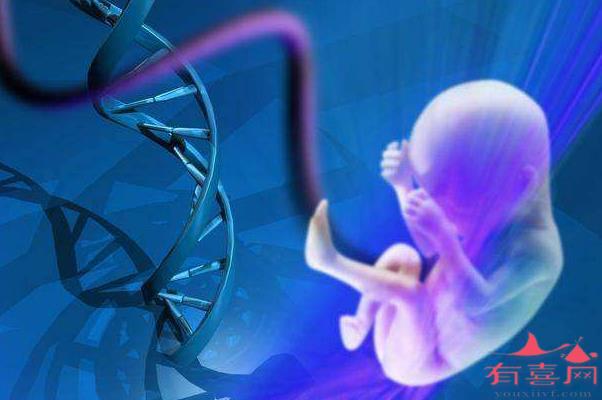 我什么时候可以选择做借卵试管？不容错过的七点