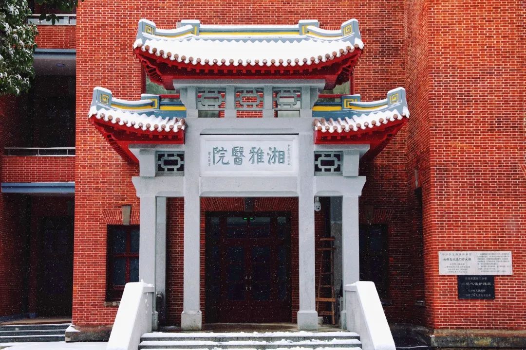 单身女性去美国借卵做试管代怀供卵合法吗？其过程是怎样的？