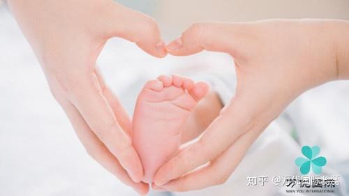 做借卵试管胚胎等级表