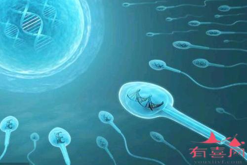 长沙山大能做供卵试管
