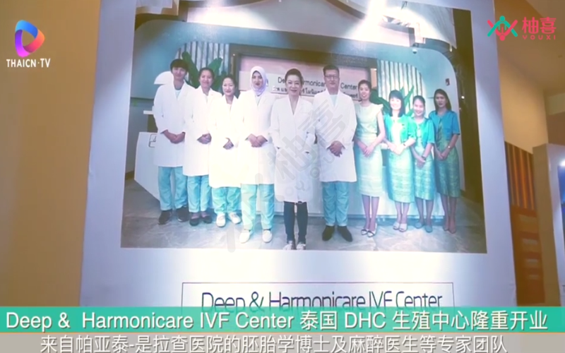 代怀生男孩疼不疼17v_国内试管代怀合法吗取卵疼不疼+
