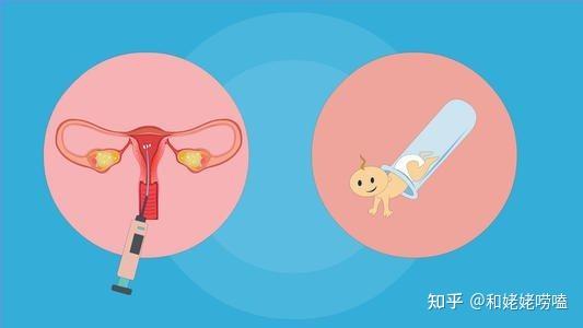 医生不建议夫妻做试管的原因有哪些,你一定不知道