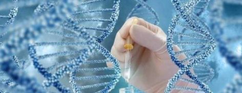 中信湘雅试管费用贵不贵？受到哪些因素影响
