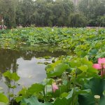 代怀什么意思婴儿伤害大吗（取出空卵泡是什么原因？）