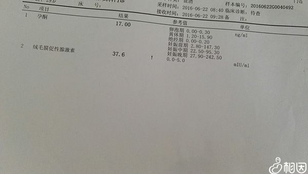 试管移植后一超时间