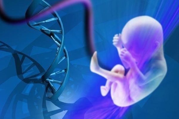 2024年30岁在长沙恒生医院哪些女明星是试管代怀的成功率高不高（附上成功率）