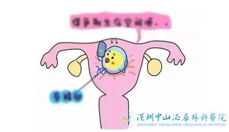 2024年长沙做供卵试管多少钱医院排行榜