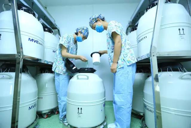 2024年长沙红房子助孕机构排行榜的成功率高吗（试管成功率能达到50%吗？）